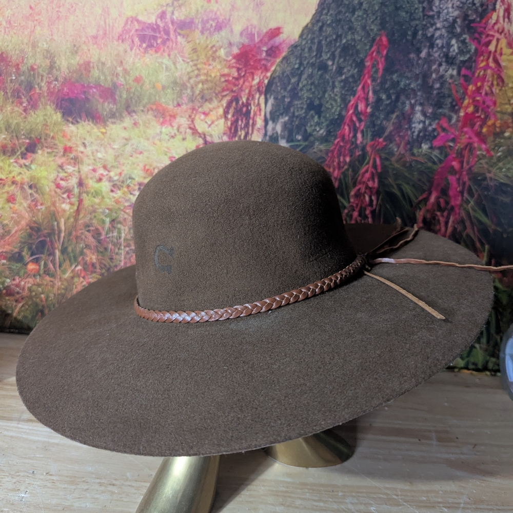 Brown Wide-Brimmed Hat with Braided Band